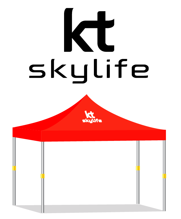 kt skylife.PNG