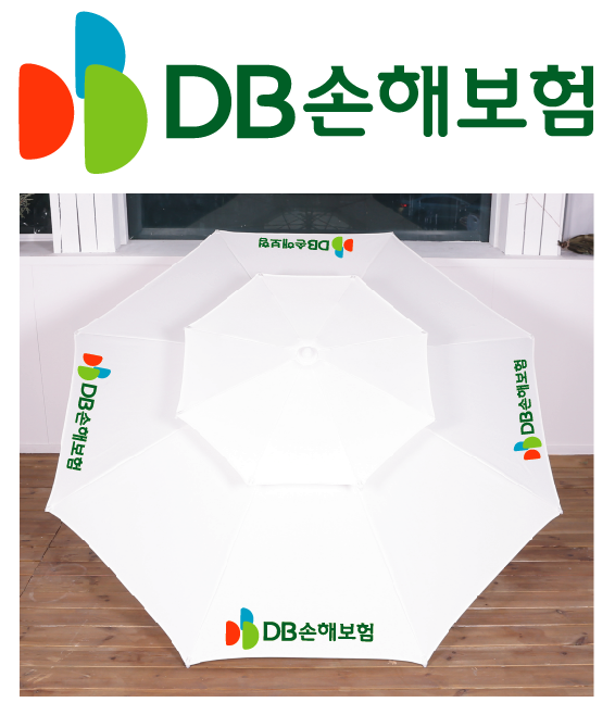 DB손해보험.PNG