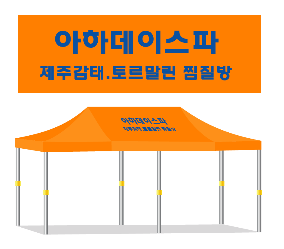 아하데이스파.PNG